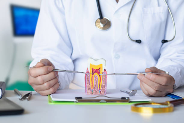 Best Emergency Broken Tooth Repair in Forest View, IL